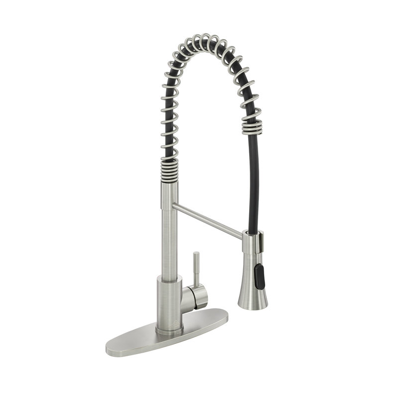 Spring Standard Kitchen Faucet with Dual-Function Spray Head and Deck Plate, Brushed Nickel