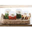 Clear Bloom Vase-715522060