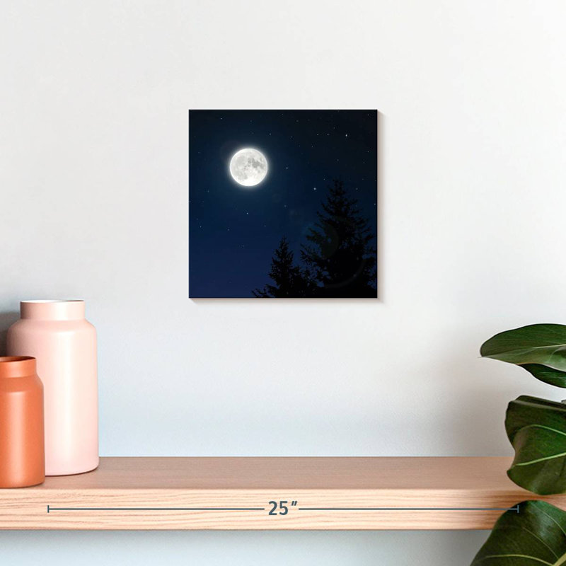 Pleine lune blanche Oberle, H 10 po x l 10 po