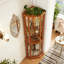 Vitrine lumineuse en coin-397308190