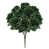 Vert forêt