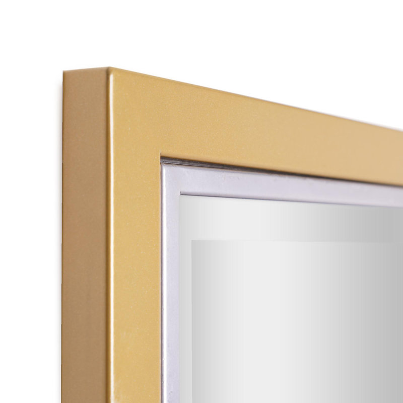 Miroir de salle de bain Wilguy, 24 po x 30 po, Laiton brossé / chrome