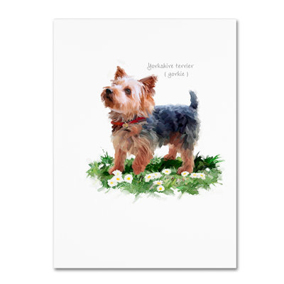 'Yorkshire Terrier' Print on Canvas