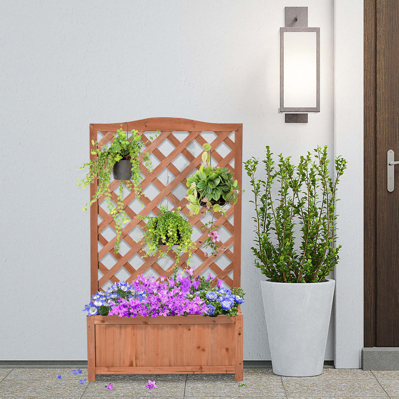 Lit de jardin surélevé en bois exceptionnel pour une plantation toutes saisons