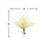 Arrangement floral Pampas dans un vase-1457981616-1457981617