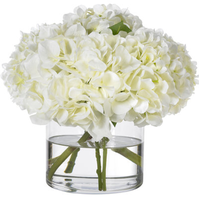 White Hydrangeas in Glass Cylinder Vase