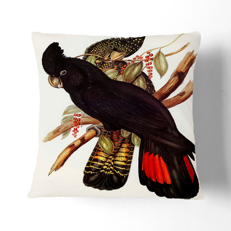Banksian Cockatoo Square Throw Cushion, 40 x 40 cm