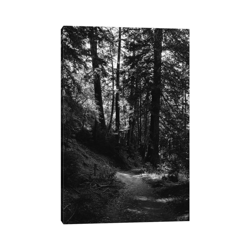 Big Sur Hike by Bethany Young - Print on Canvas, Wrapped Canvas, 45.72cm H x 30.48cm W x 1.91cm D
