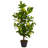 36'' Faux Lemon Tree in Pot