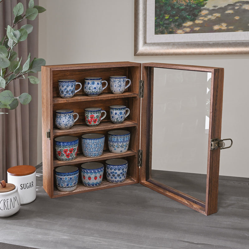 Wall Mounted Collectible Display Case Shadow Box