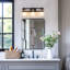 Adwait 3 - Light Dimmable Vanity Light