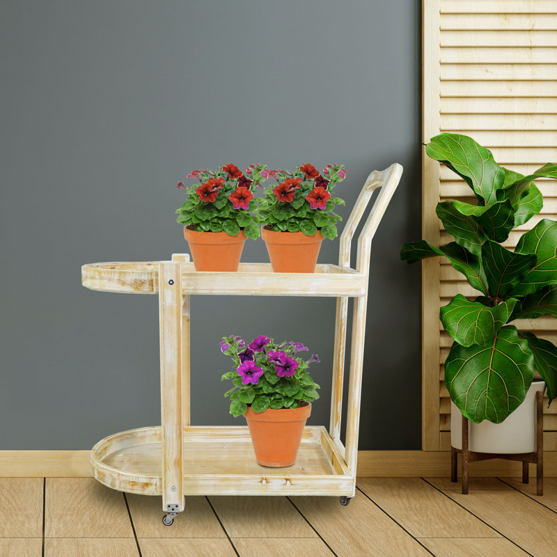 Chariot de rangement en bois à 2 niveaux avec roulettes