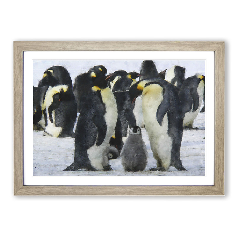 Emperor Penguins - Picture Frame Graphic Art, 48cm H x 65cm W x 2cm D, Oak Framed