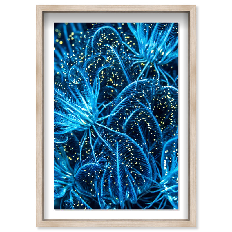 Neon garden Shadowbox Abstract Print by Oliver Gal, Black Frame, 10 x 15, 31.5"H x 21.5"W, Natural Oak Shadowbox