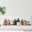 Impression encadrée « indoor succulents »-50107286