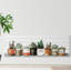 Impression encadrée « indoor succulents »-50107287