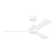 Rozzen Ceiling Fan