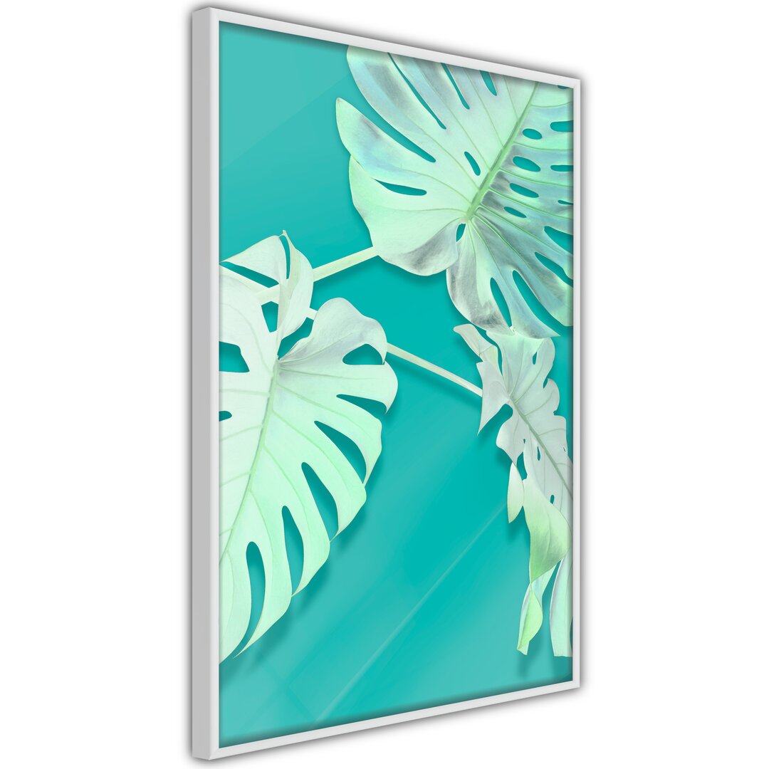 Gerahmtes Poster Teal Monstera