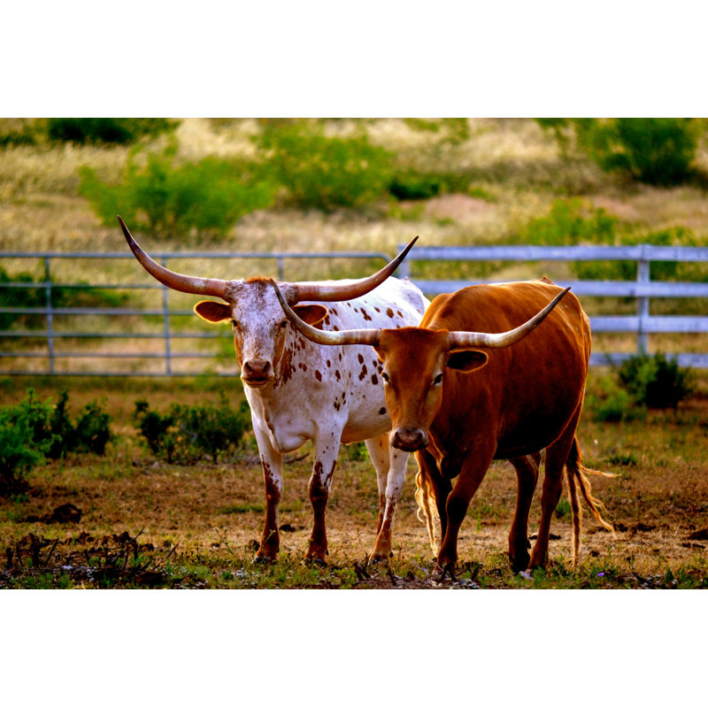 Besties by Rbd1586 - Wrapped Canvas Print, 30cm H x 46cm W x 3.8cm D