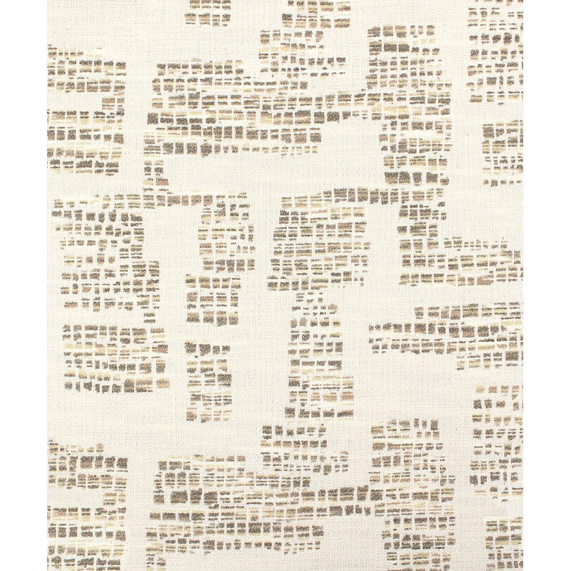 Cassia, Fossil