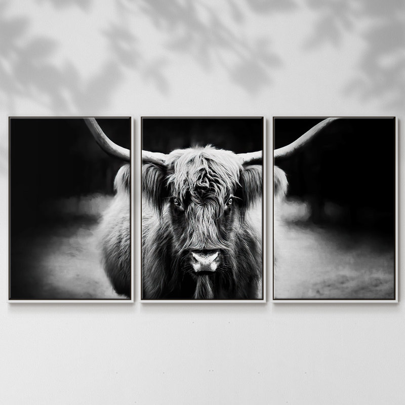 Photographie Étude de bovins Highland 3 pièces, H 24 po x l 48 po x P 2 po, Cadre blanc