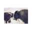 Photographie buffalo-43719319-43719323
