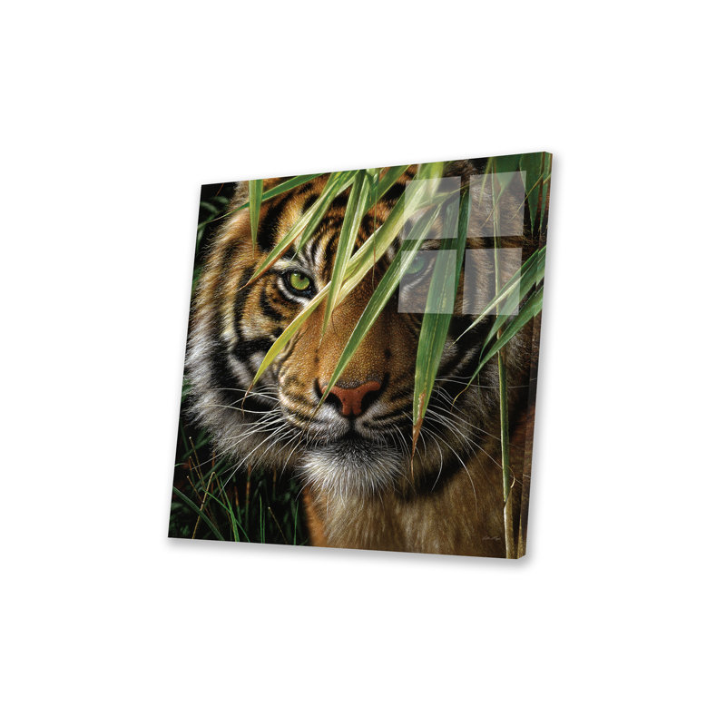 " Tiger - Emerald Forest " by Collin Bogle