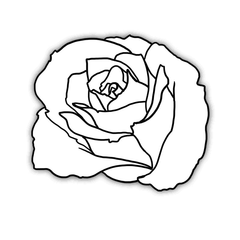 " Colour Page Rose ", 12" H x 12" W