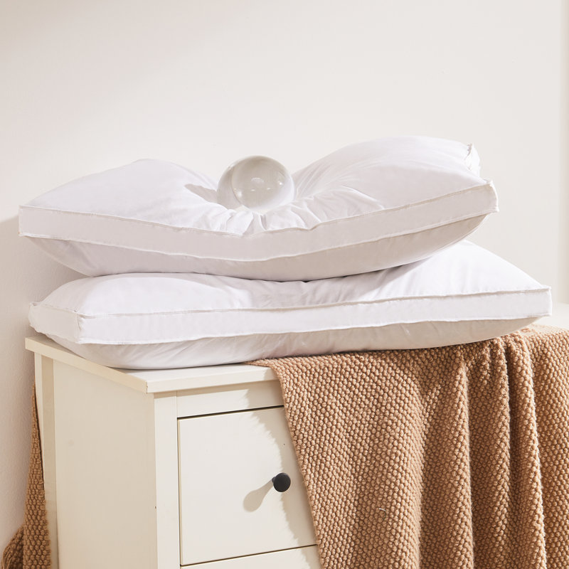 Goose Feather Piece Standing Pillow (set Of 2), King: 20" x 36"