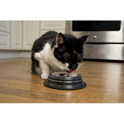 Anti-Skid Pet Bowl