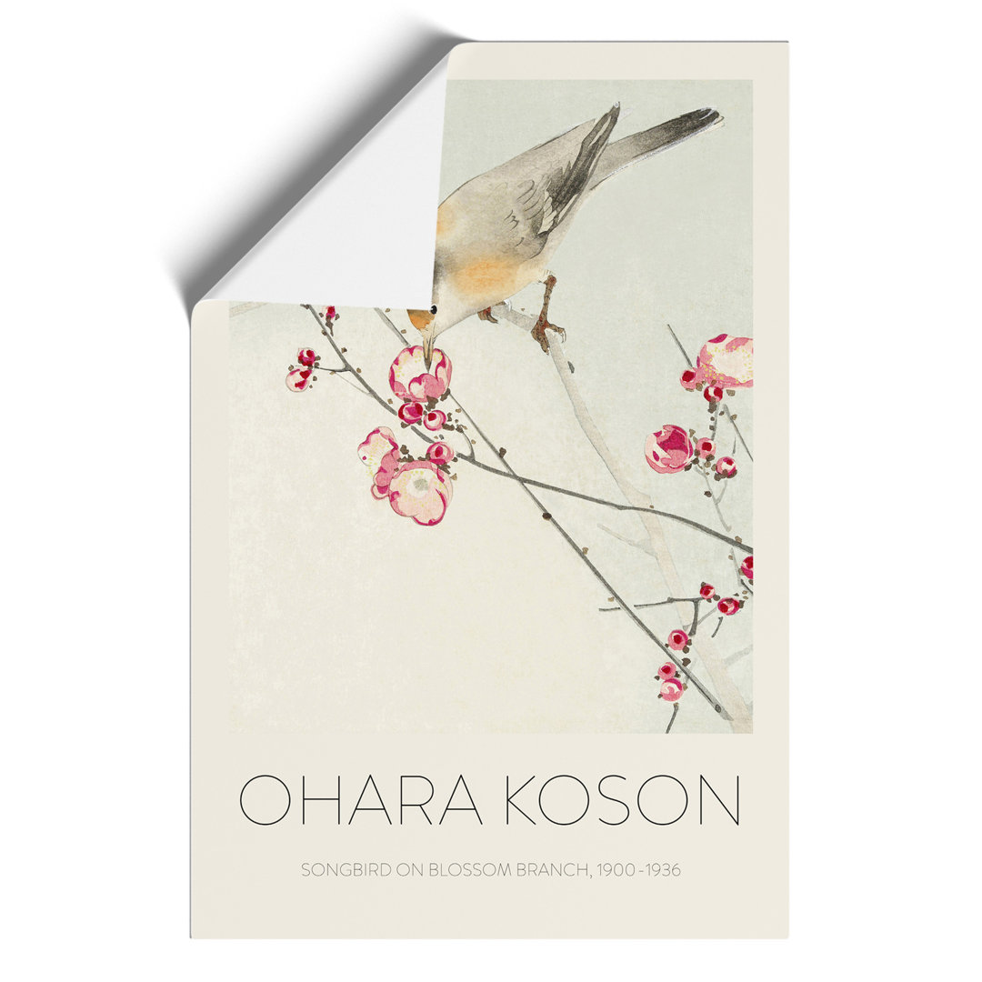 Songbird on a Blossom Branch Print by Ohara Koson - Frameless Print