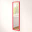 Overdoor Full Length Mirror-20587882