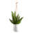 Nonce Handmade Ceramic Hanging Planter-164315405-164315404