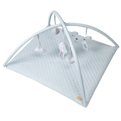 Baby Gym