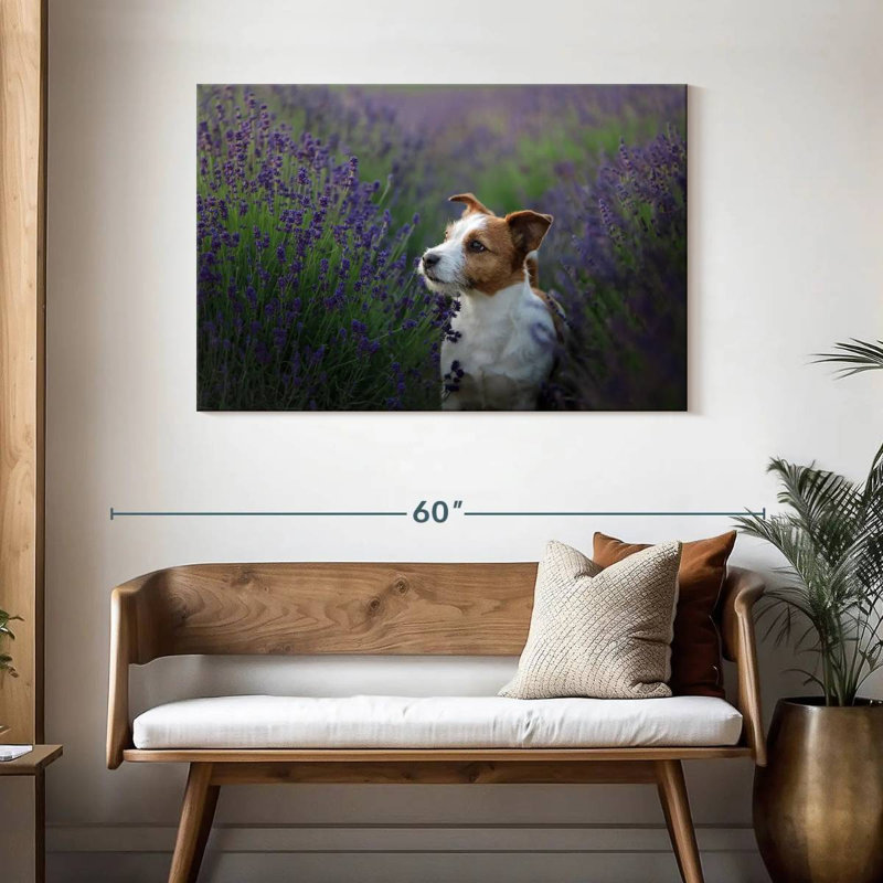 Crowle Jack Russell et lavande, H 30 po x l 45 po