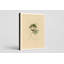 «Swamp Sparrow», plaque LXIV (1831) - Portrait, art mural sur toile-129980601