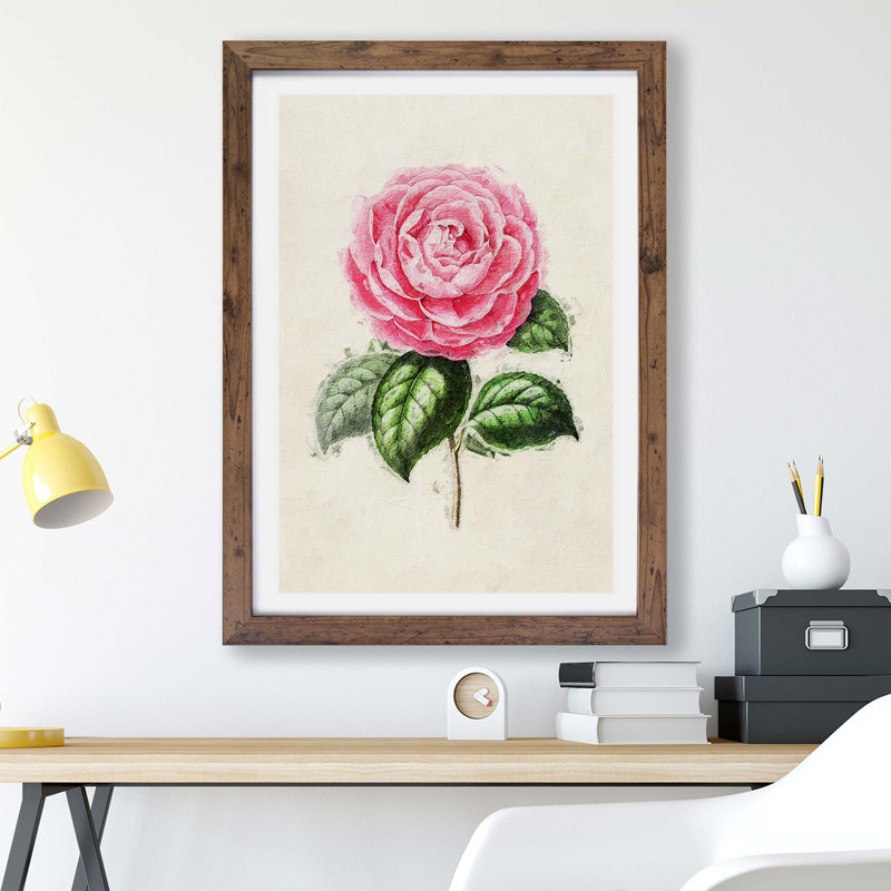Garden Rose - Framed Print, Walnut, 33cm H x 45cm W x 2cm D