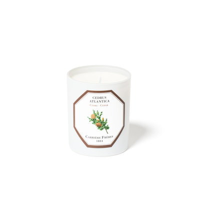 Cedar Candle