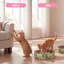 Grattoir Emilyn-1593017002