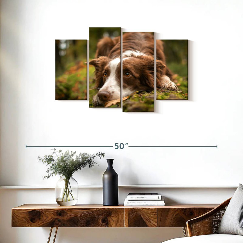 Brampt Lovable Border Collie