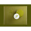Mono Area Rug in Olive