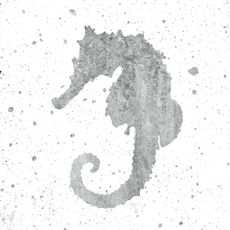 Silver Sea Life Seahorse by Wild Apple Portfolio - Wrapped Canvas Painting, 51cm H x 51cm W x 3.8cm D