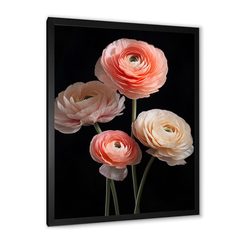 Ranunculus Flowers Enchanting I - Floral & Botanical Wall Art Prints, Cadre photo noir, H 20 po x l 12 po x P 1 po