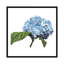 «Brighton Blooms I», impression sur toile-29177725-72784010-72784015