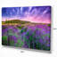 «Summer Lavender Field in Tihany Modern Landscape», reproduction de photo sur toile-33187011-18297171