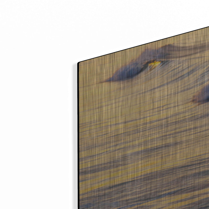 " Warm Curl " by Chris Moyer, 24" H x 48" W