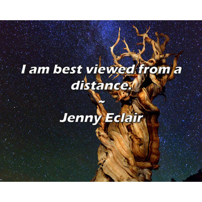 Jenny Eclair Quote: I am best viewed from a distance.