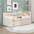 Three Drawers Upholstered Daybed with Trundle-1266376239-1266376225