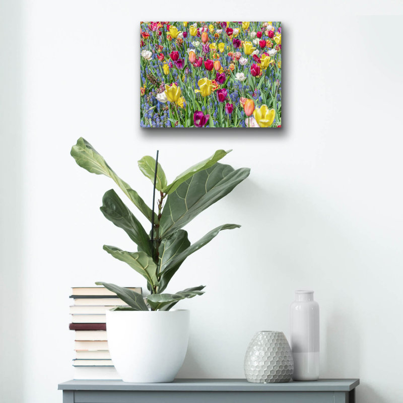 "Tulipes Kuekenhaus I" par Richard Silver, H 12 po x l 16 po x P 0,13 po