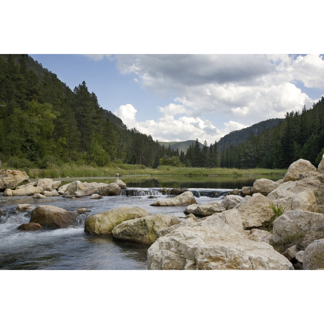 Leinwandbild Forellenbach in den Black Hills